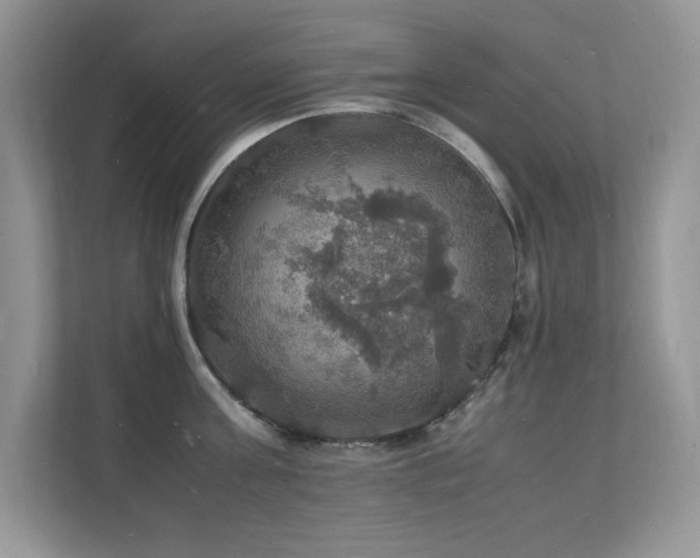X0000112150811200908071115