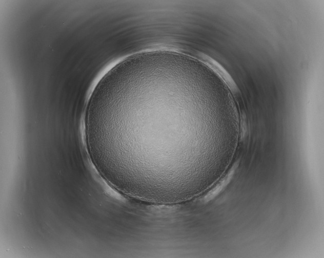X0000112150812200908071115