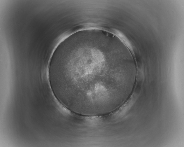 X0000112150813200908071115