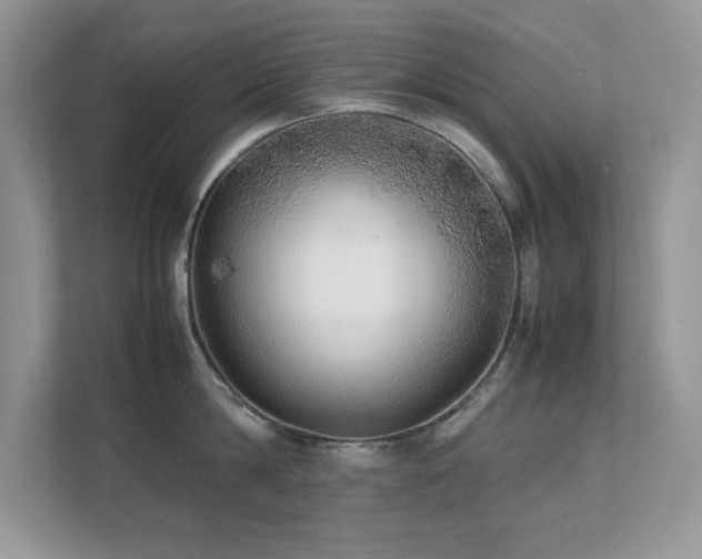 X0000112150814200908071115