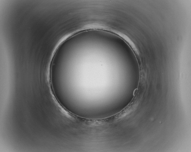 X0000112150815200908071115
