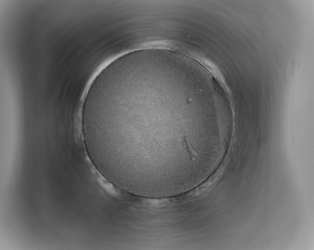 X0000112150816200908071115