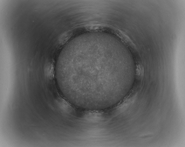 X0000112150820200908071114