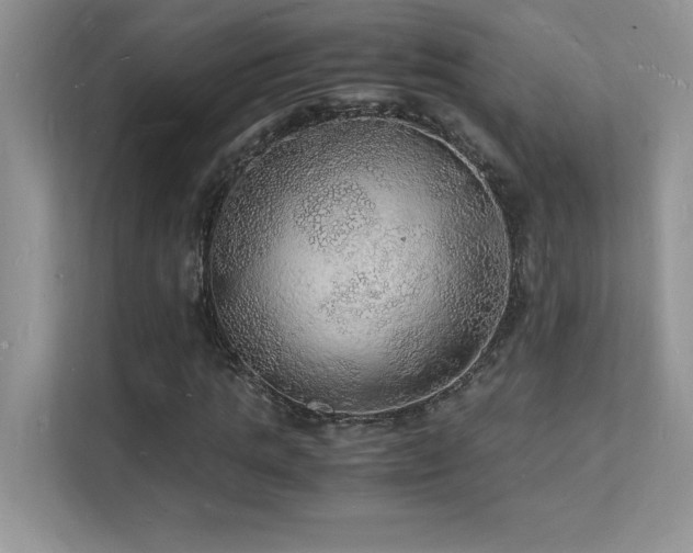 X0000112150821200908071114