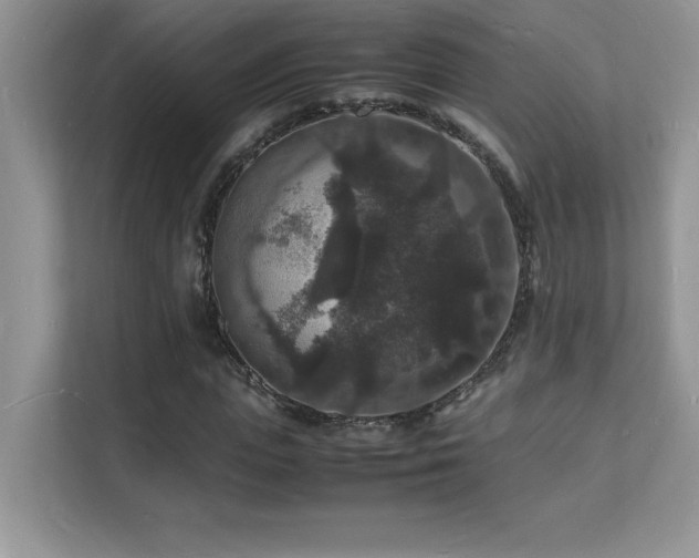 X0000112150823200908071114