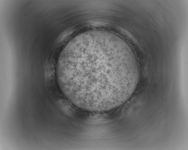 X0000112150824200908071114
