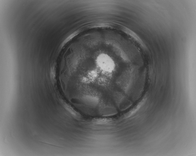 X0000112150826200908071114