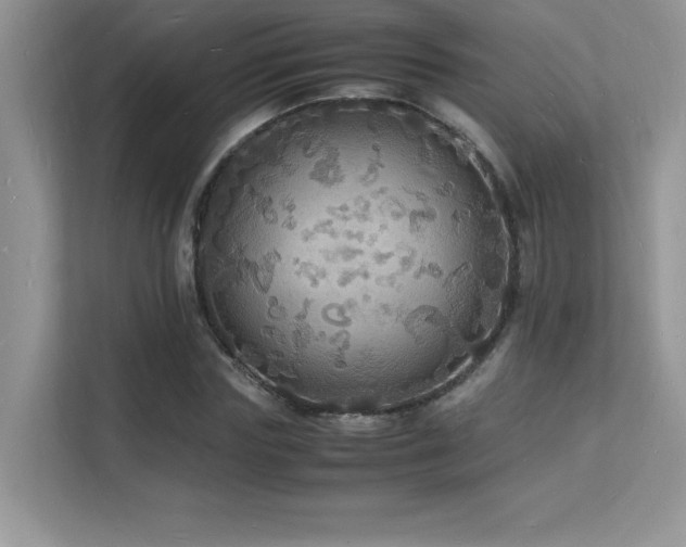X0000112150827200908071114