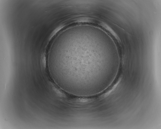 X0000112150829200908071114