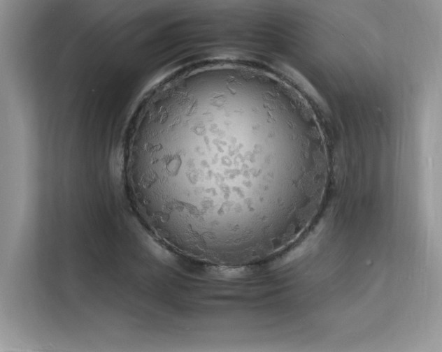 X0000112150831200908071114