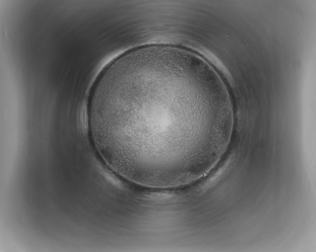X0000112150838200908071114