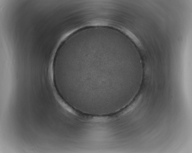 X0000112150840200908071114