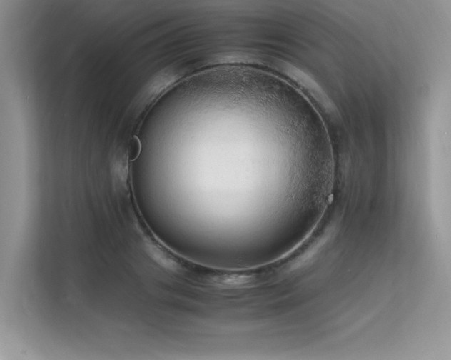 X0000112150841200908071114