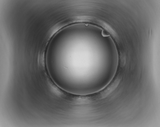 X0000112150842200908071114