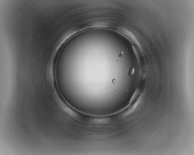 X0000112150843200908071114