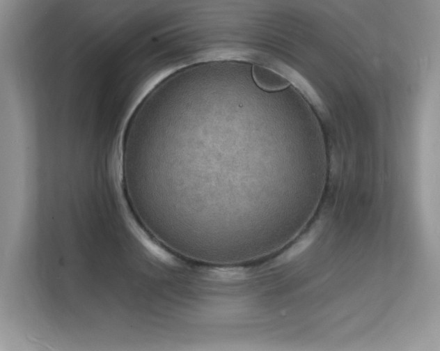 X0000112150844200908071114