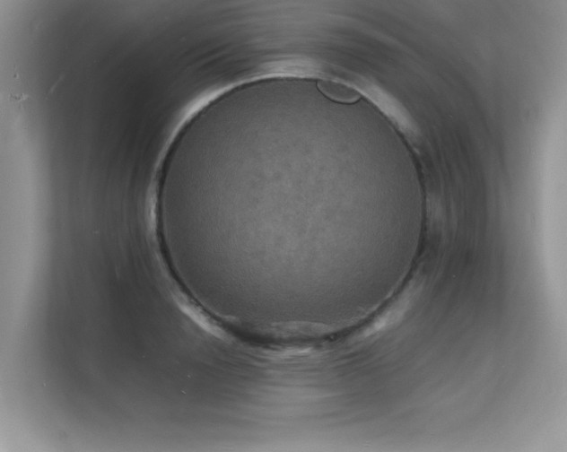 X0000112150846200908071114