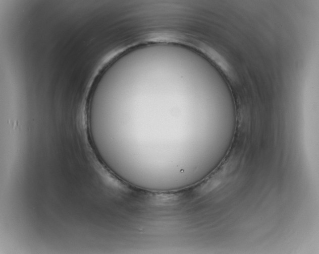 X0000112150848200908071114