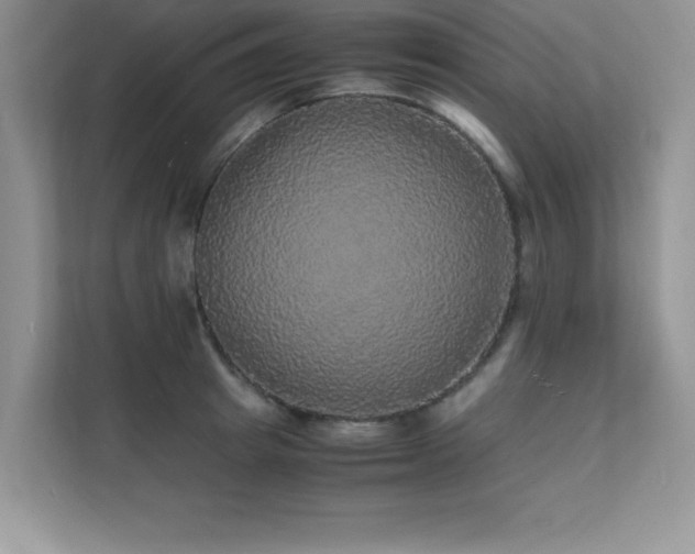 X0000112150849200908071114