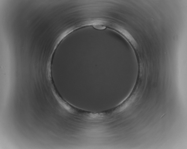 X0000112150850200908071114