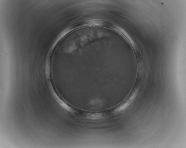 X0000112150851200908071114