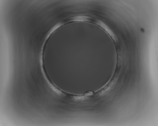 X0000112150853200908071114