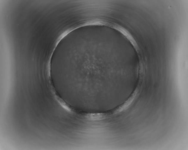 X0000112150858200908071114