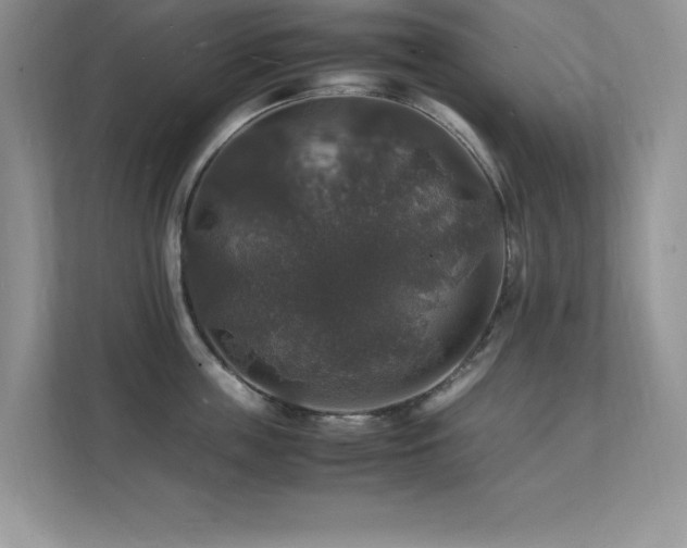 X0000112150859200908071114