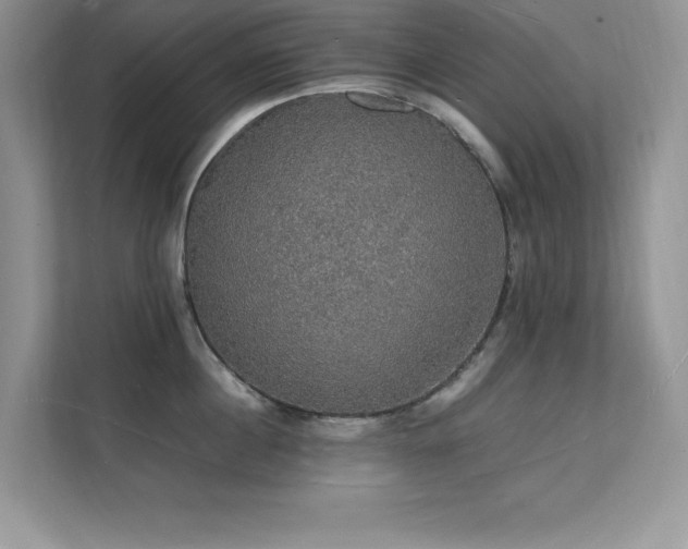 X0000112150860200908071114