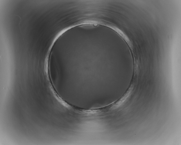 X0000112150862200908071114