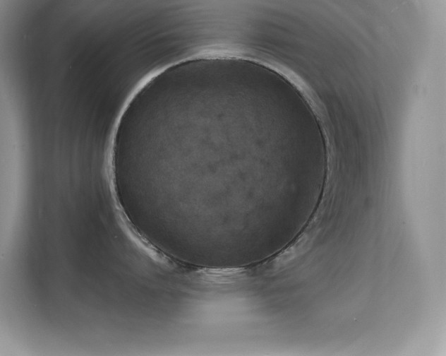 X0000112150864200908071114