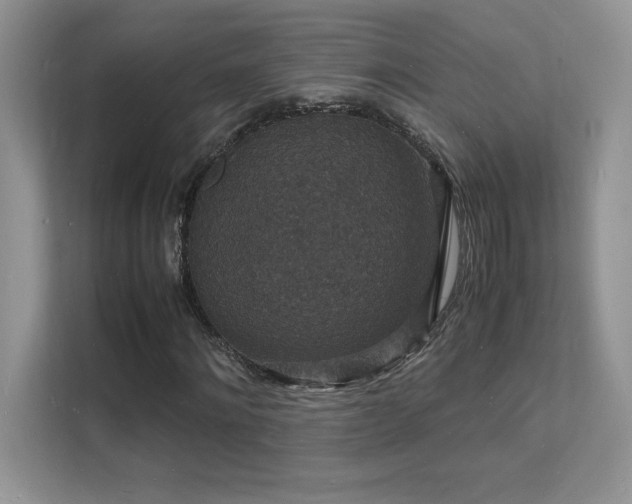 X0000112150868200908071114