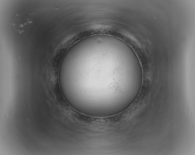 X0000112150869200908071114