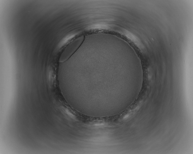 X0000112150872200908071114