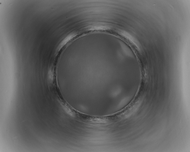 X0000112150874200908071114