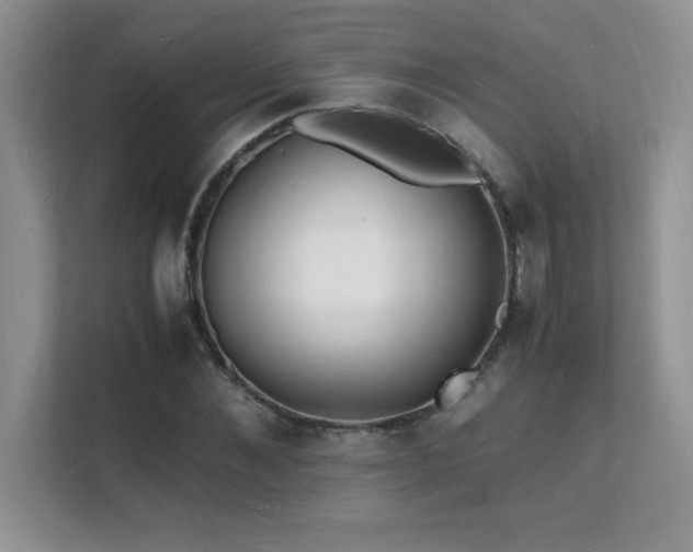 X0000112150876200908071114