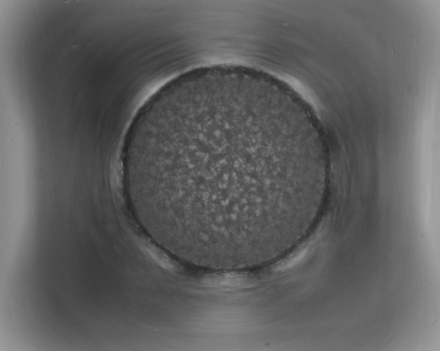 X0000112150879200908071114