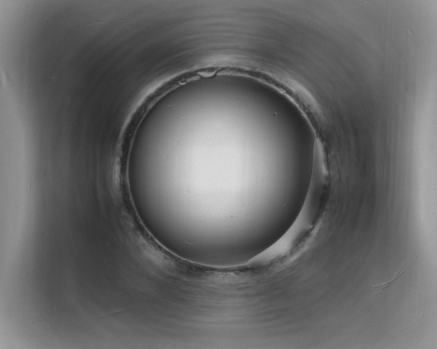 X0000112150880200908071114