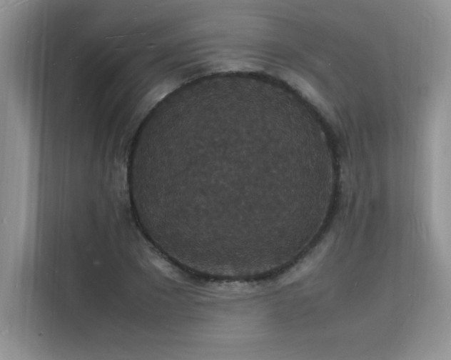 X0000112150881200908071114