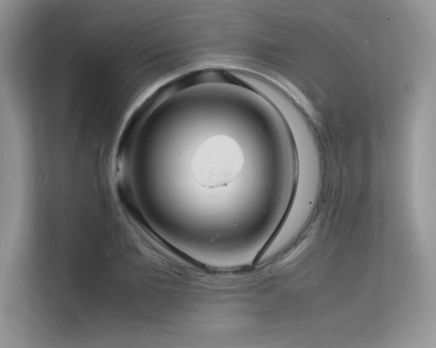 X0000112150885200908071114