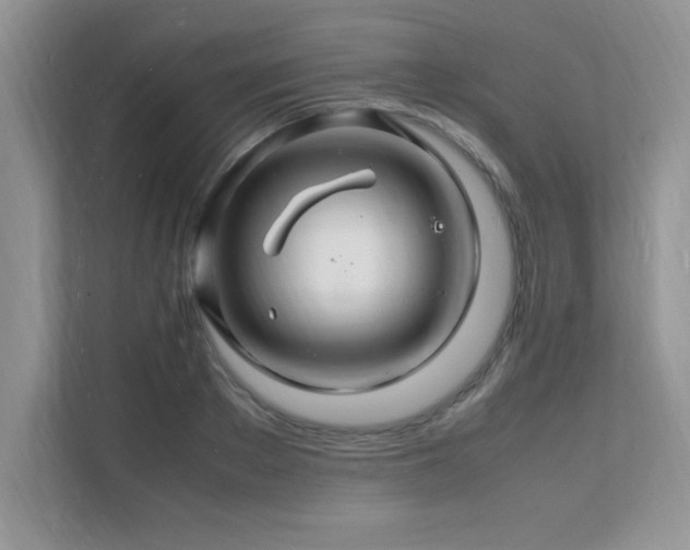 X0000112150889200908071114