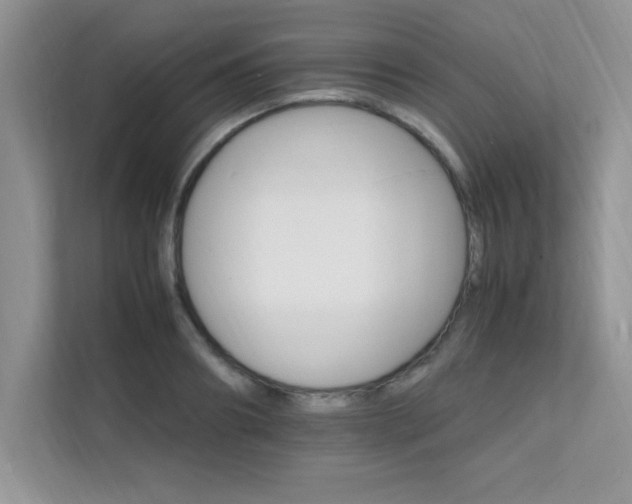 X0000112150890200908071114