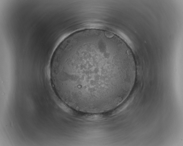 X0000112150891200908071114