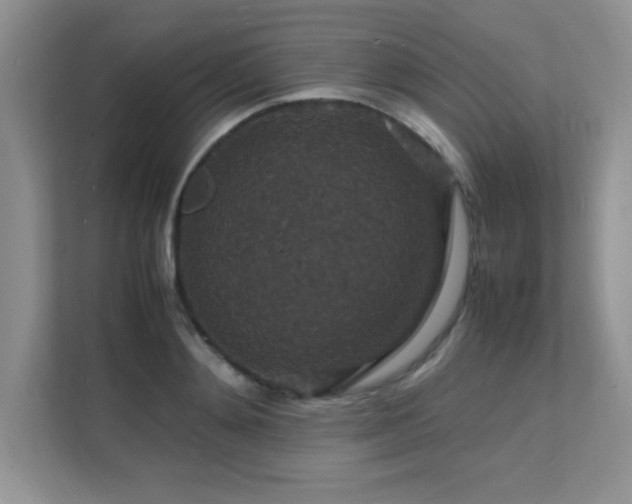 X0000112150892200908071114