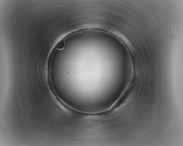 X0000112150894200908071113