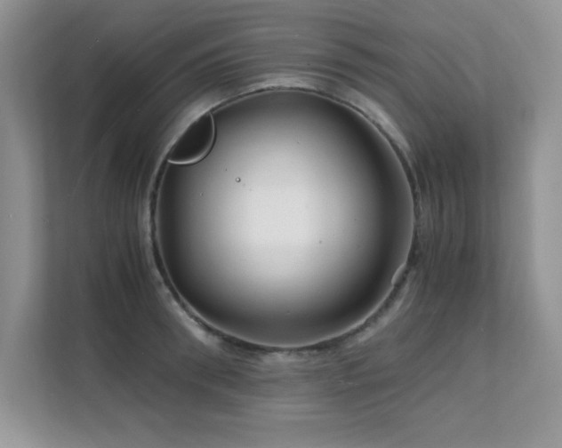 X0000112150898200908071113