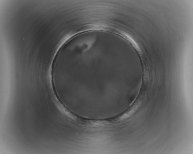 X0000112150899200908071113