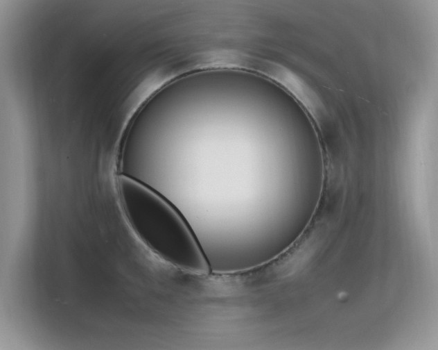X0000112150901200908071113