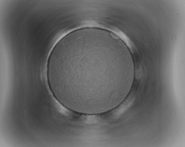 X0000112150903200908071113
