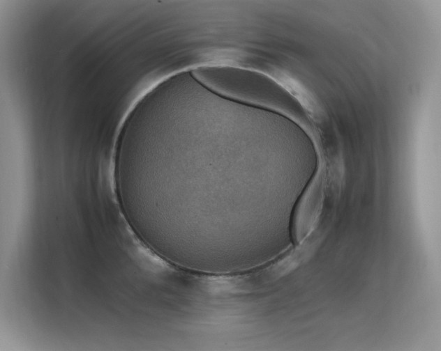 X0000112150904200908071113